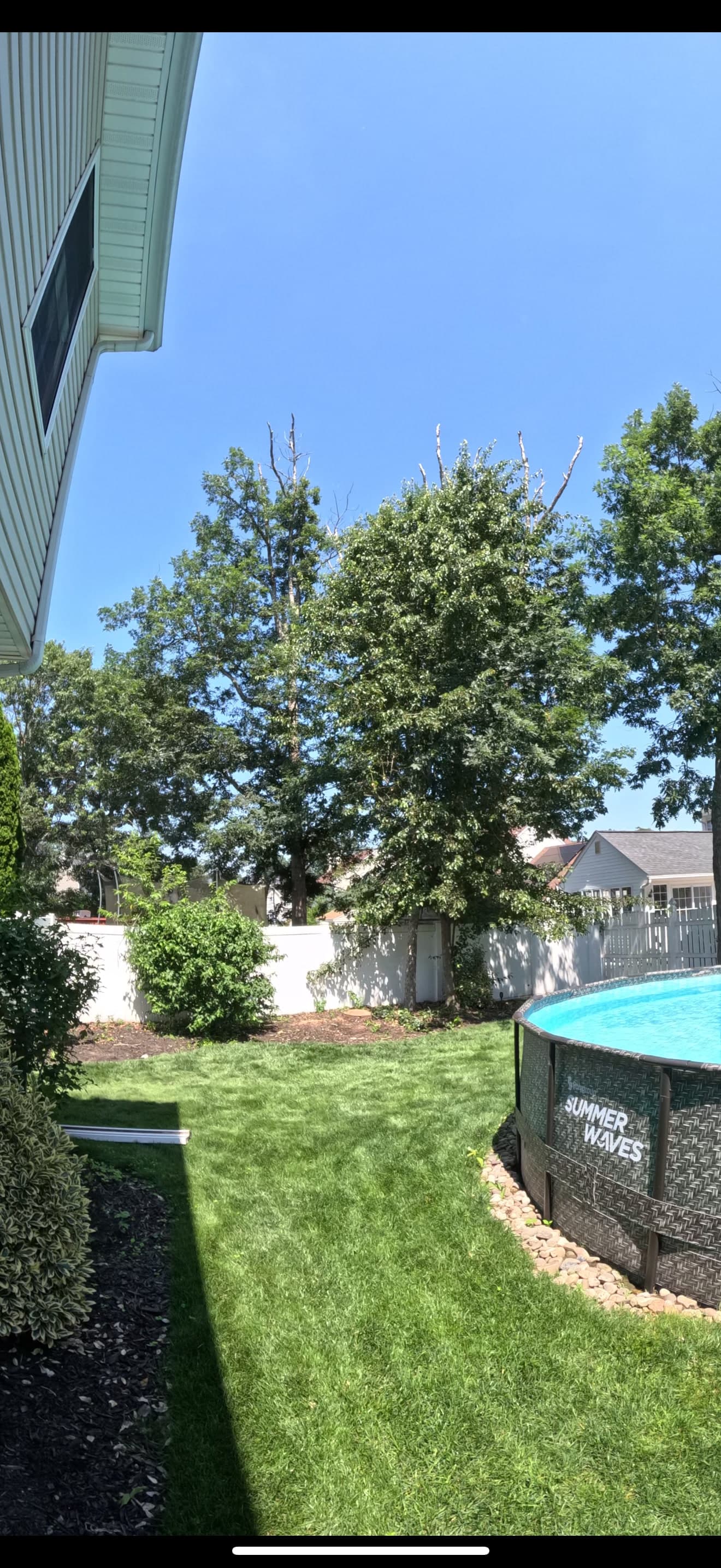 Williamstown backyard after a dead tree was removed