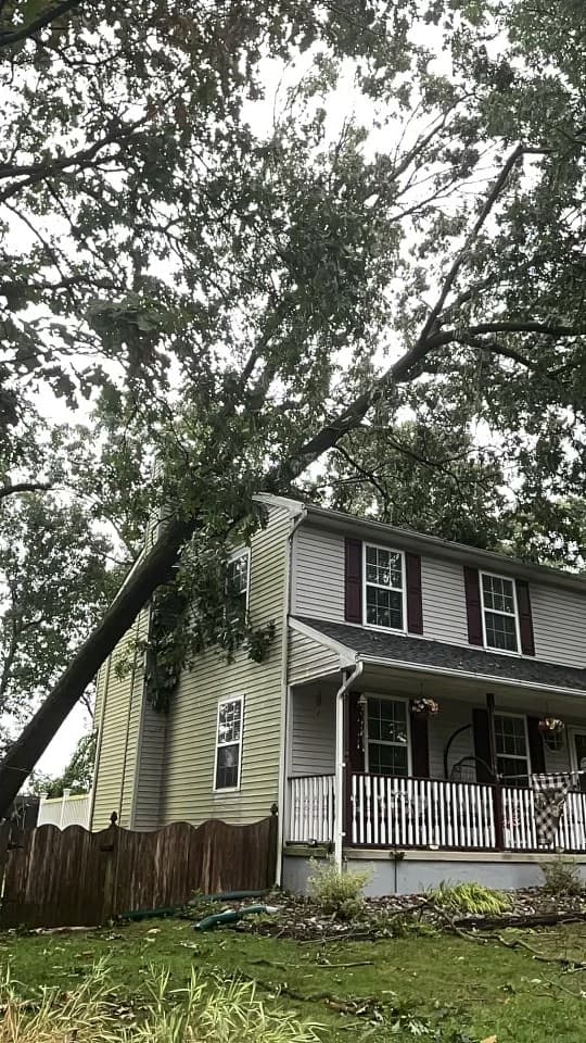 Large oak tree resting on a two-story home after a storm in Mantua Township, New Jersey