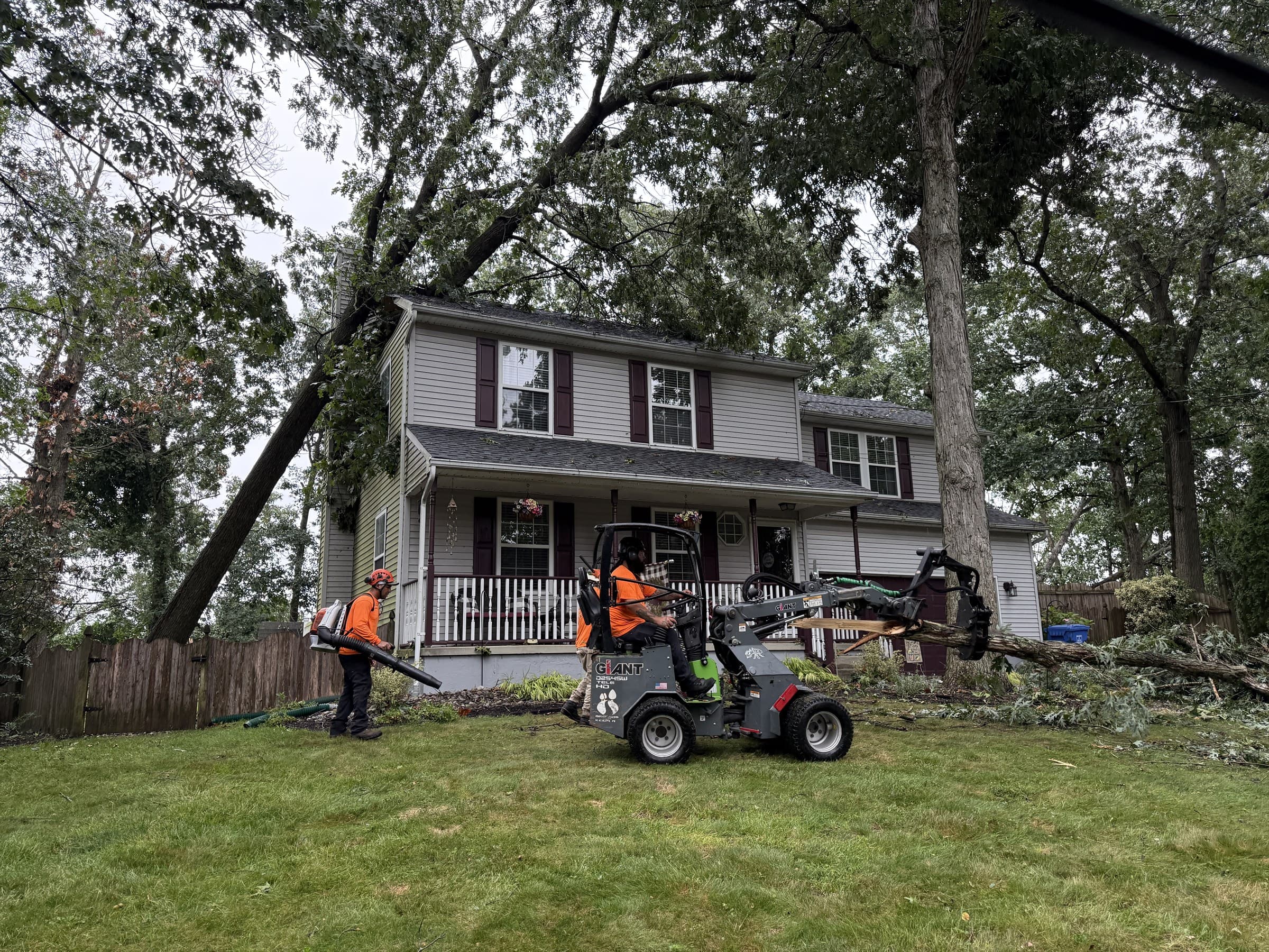 Crew and compact loader preparing the work area around a fallen oak in Mantua Township