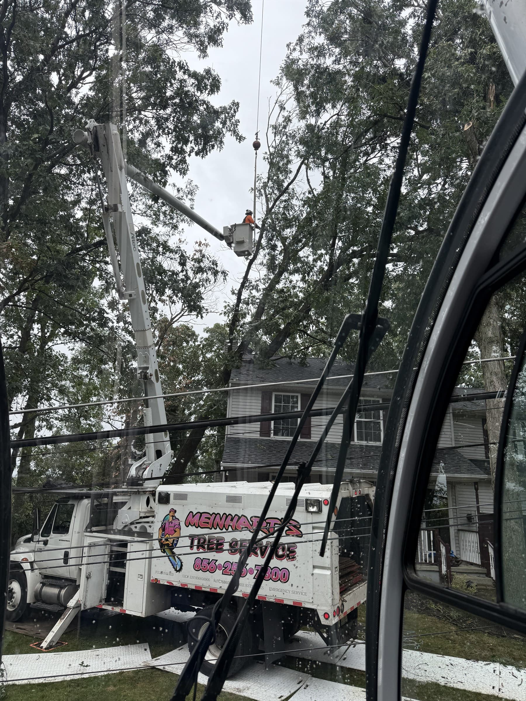 View from the crane cab as a bucket-truck operator begins rigging the fallen oak in Mantua Township