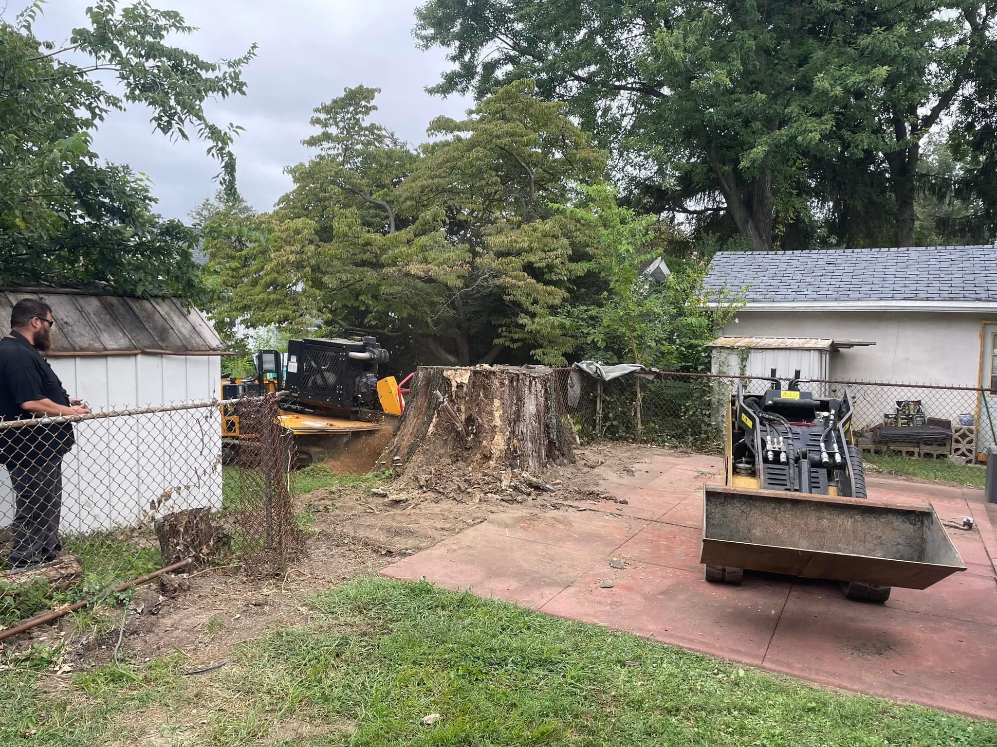 Large backyard stump and stump-grinding equipment before work in Audubon, New Jersey