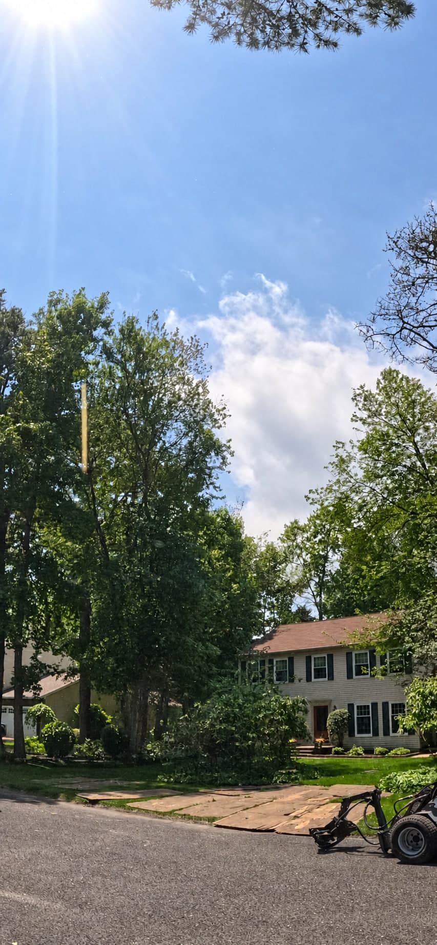 Medford, New Jersey property after a large tree was removed