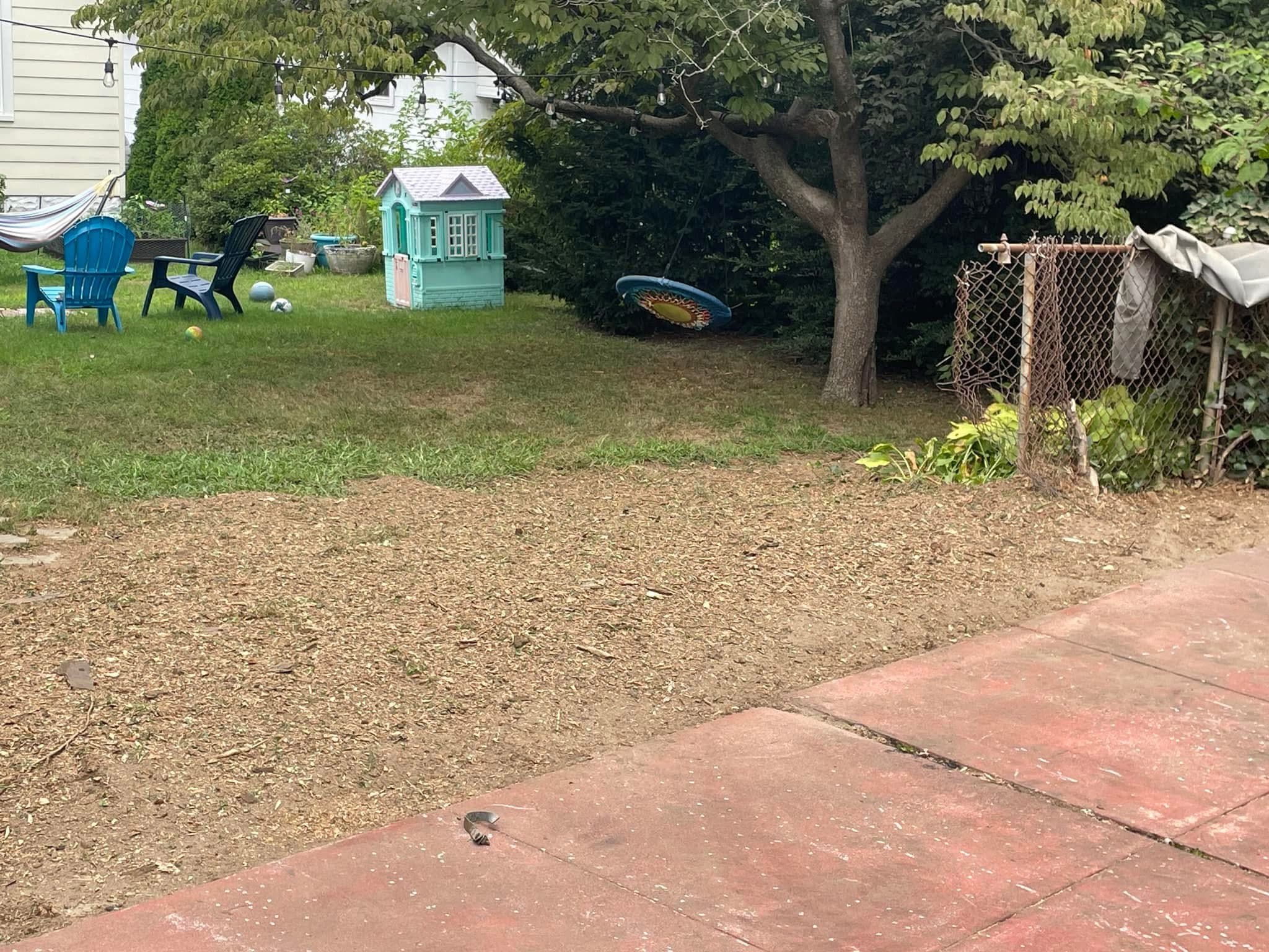 Cleared backyard area after stump grinding in Audubon, New Jersey